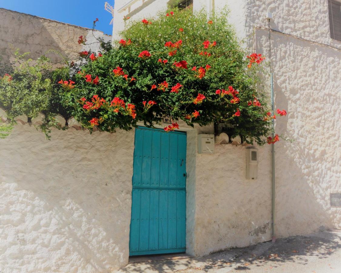 Pinos del Valle Casa Del Patio B&B 외부 사진