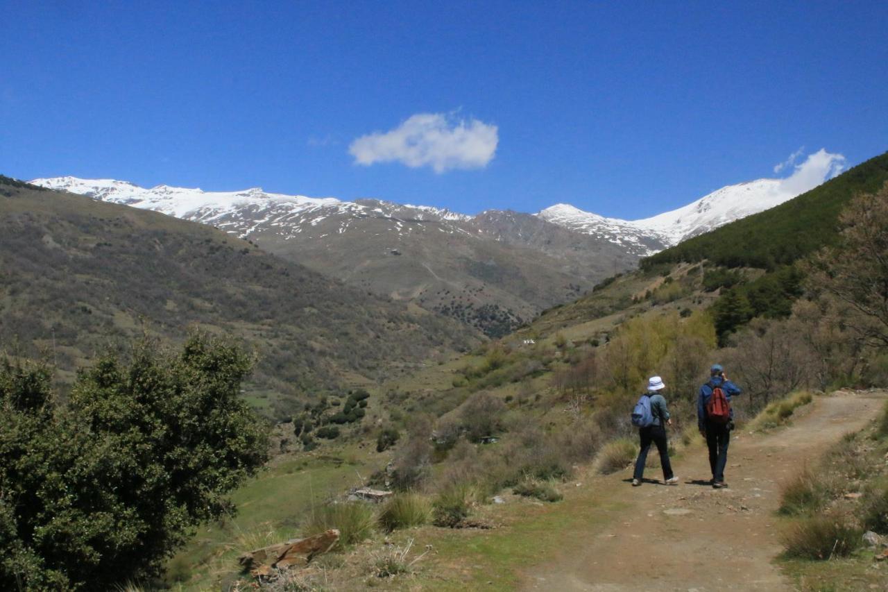 Pinos del Valle Casa Del Patio B&B 외부 사진